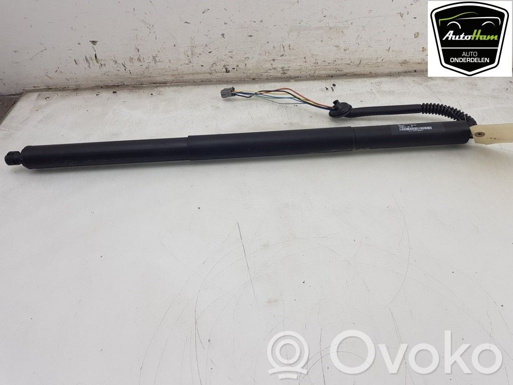 Tesla Model S Tailgate/trunk/boot lift motor 