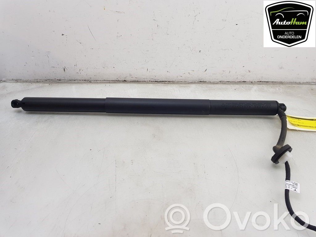 Tesla Model Y Tailgate/trunk/boot lift motor 