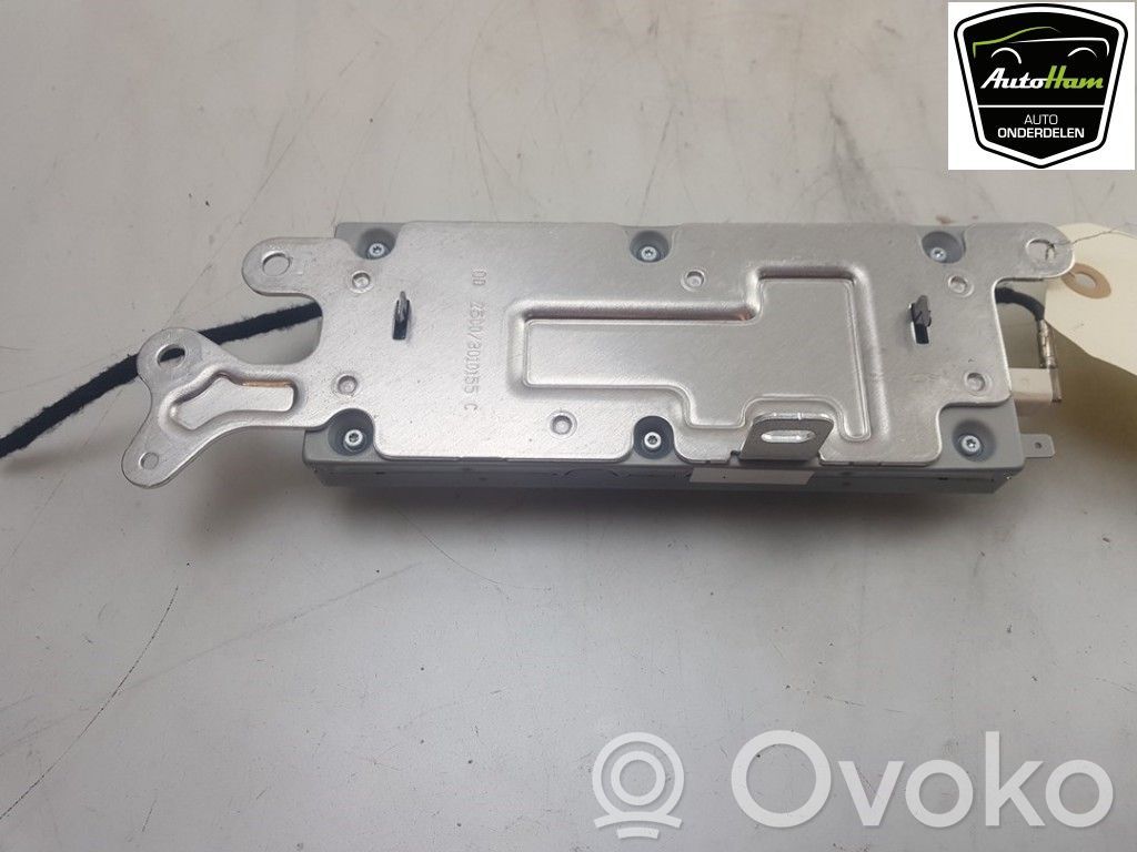 Tesla Model 3 Other control units/modules 