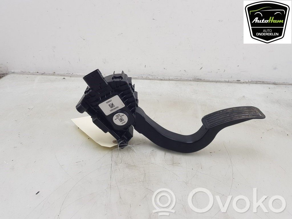 Tesla Model 3 Accelerator throttle pedal 