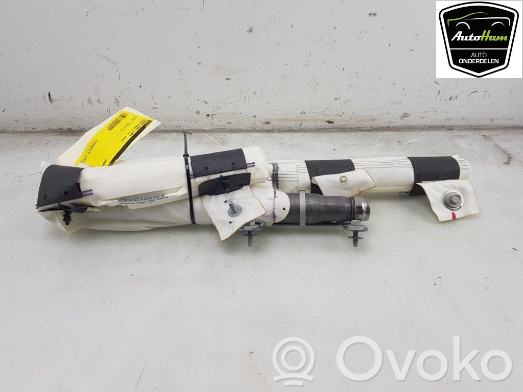 Tesla Model X Airbag del techo 