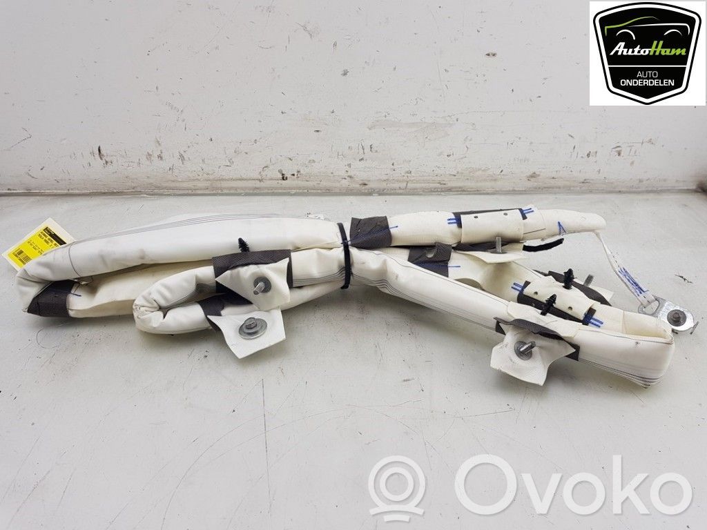 Tesla Model 3 Airbag del techo 