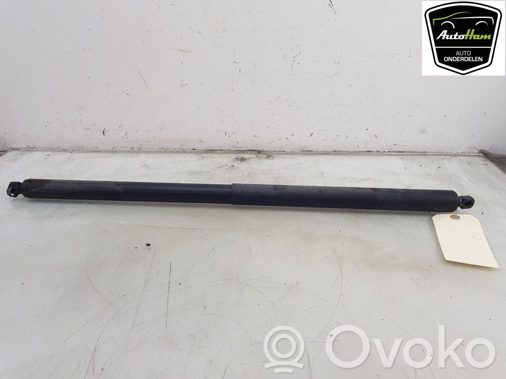Tesla Model X Tailgate/trunk strut/damper 