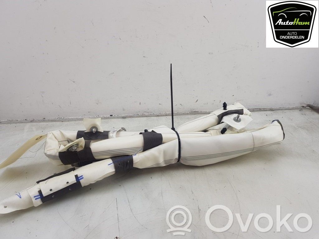 Tesla Model 3 Airbag del techo 