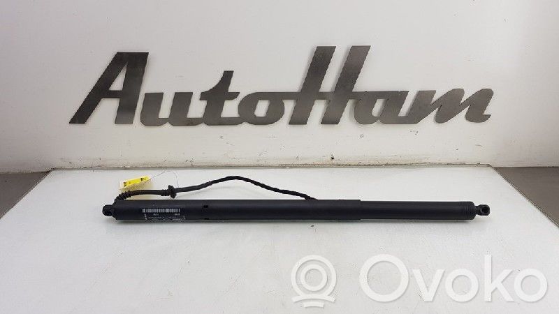 Ford Focus Aizmugurējā pārsega pievilcējs 