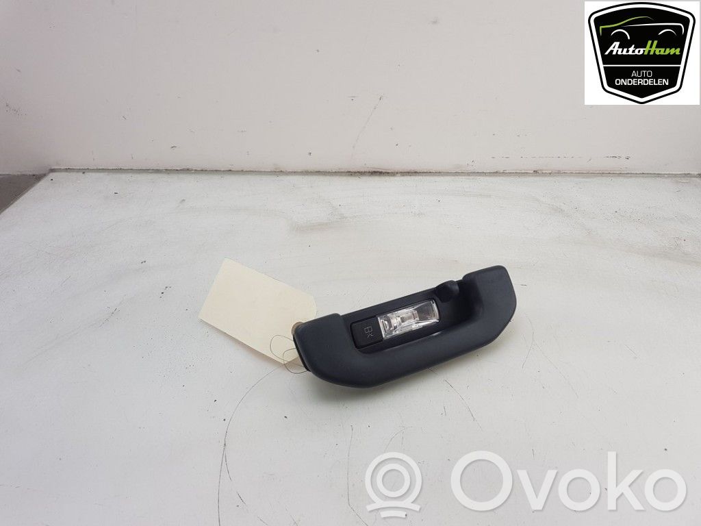 Un ensemble de poignées pour le plafond   A0009065006,A00090650069051,A0009065006,A00090650069051