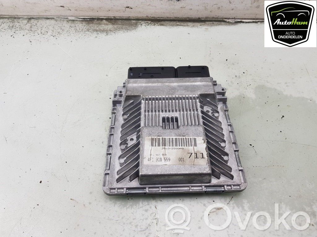 Audi A6 S6 C6 4F Engine control unit/module 