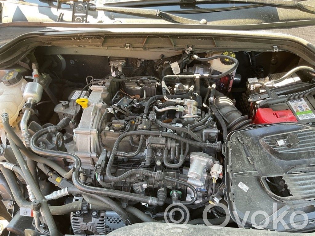 Ford Focus Engine 