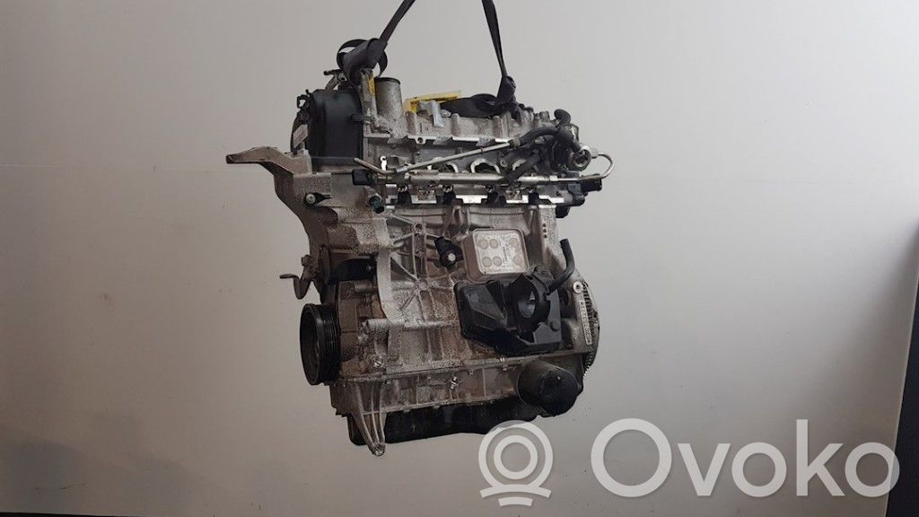 Dzinējs   04E100033R,04E100033R,04E100098HX,04E100033R