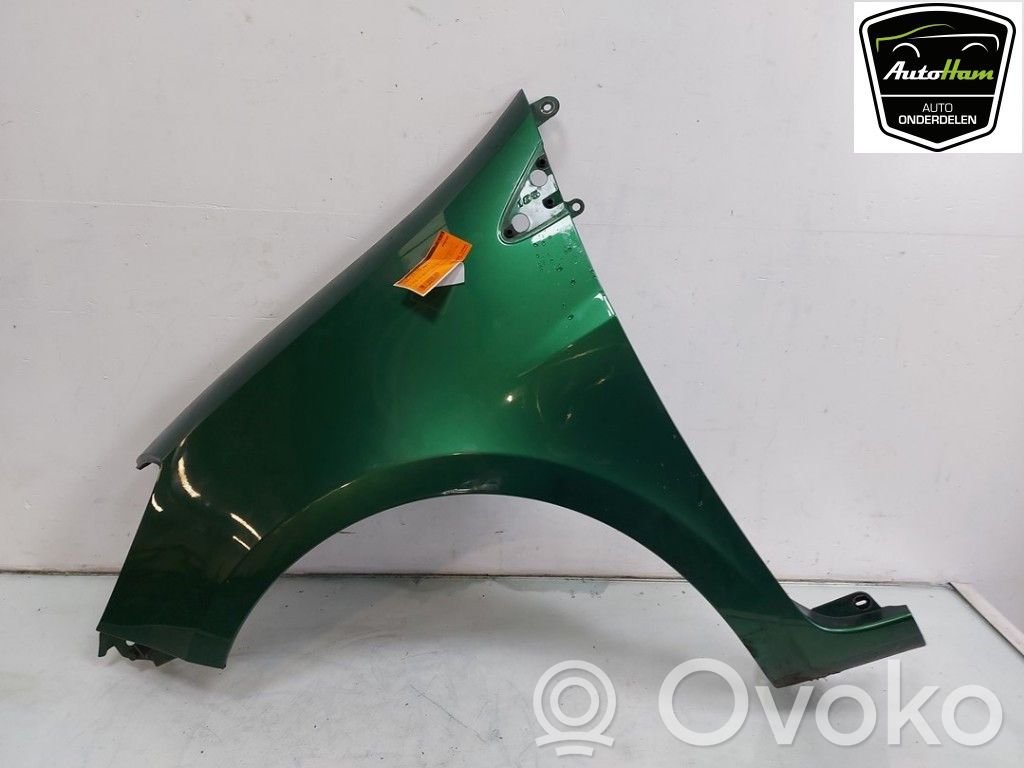 Renault Clio III Błotnik przedni 