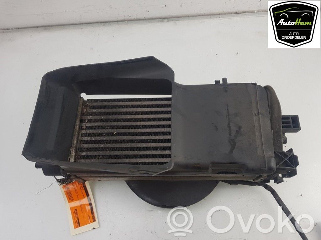 Interkūlerio radiatorius   CV619L440VC,2026747,BV618C607SC,1815246,2026747,BV618C607SC,CV619L440VC,CV619L440VD
