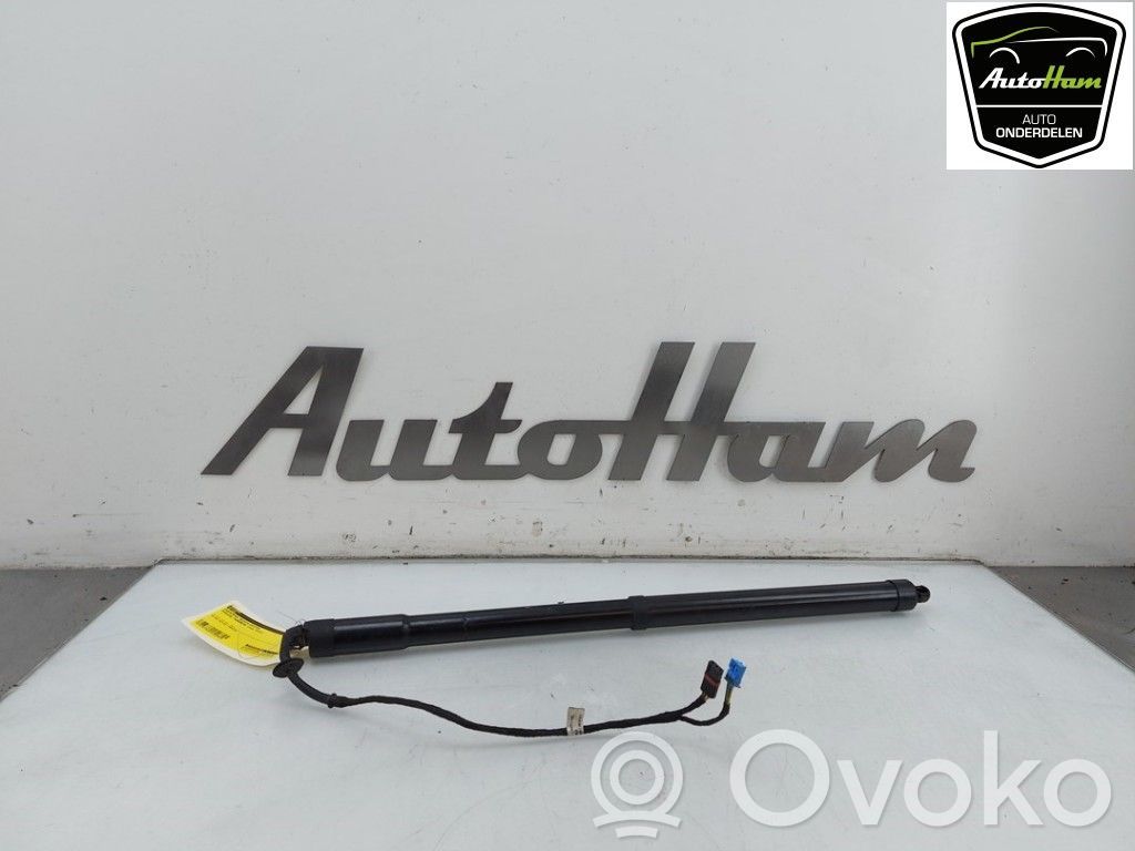 Porsche Panamera (970) Amortizor hayon 