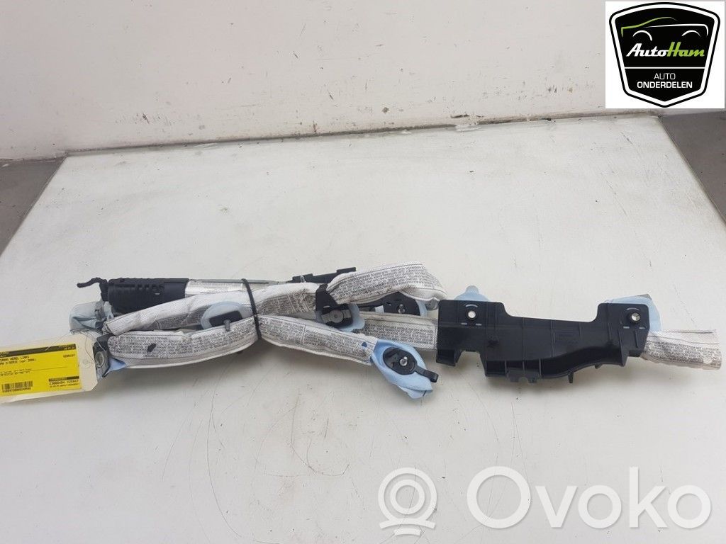 BMW 3 E90 E91 Airbag del techo 