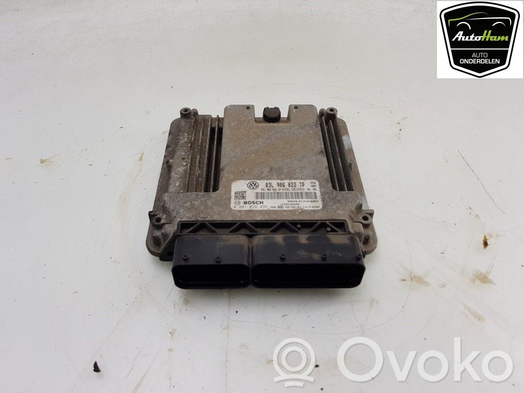 Seat Leon (1P) Unitate/modul de control motor 