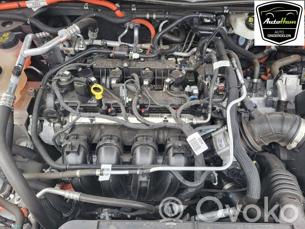 Ford Kuga III Motor 