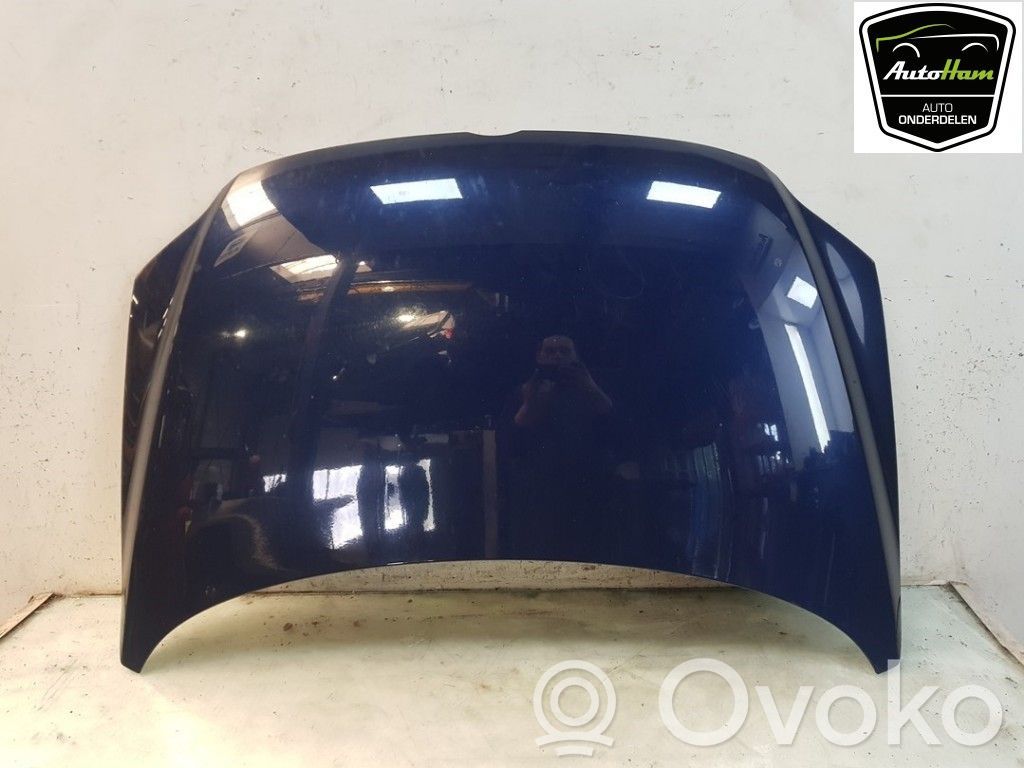 Volkswagen Fox Dzinēja pārsegs (vāks) 