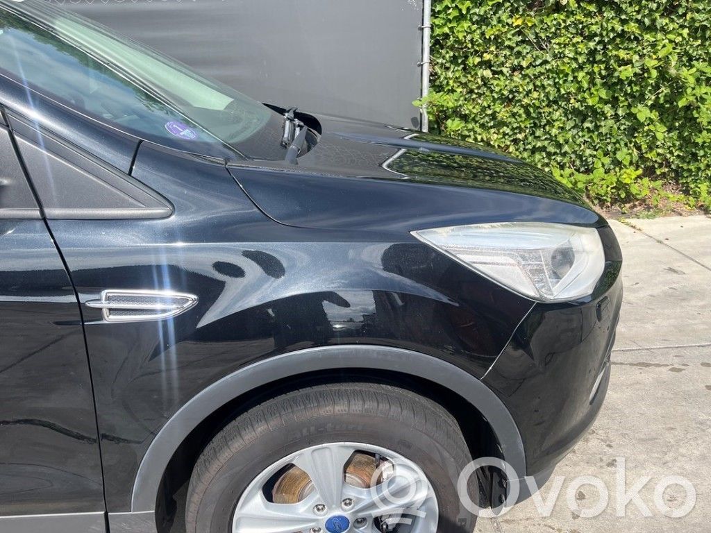 Ford Kuga II Guardabarro 