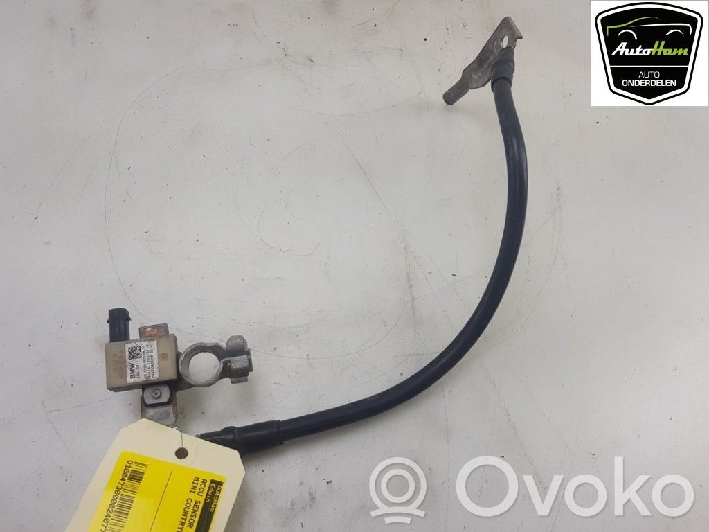 Mini Cooper Countryman F60 Sensor 