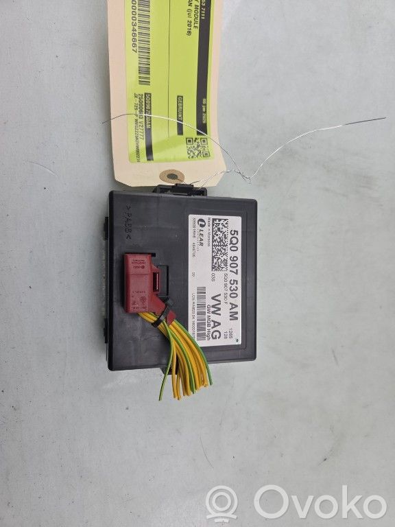 Volkswagen Tiguan Modul control gateway 