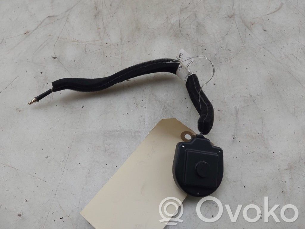 Tesla Model X Antenne radio