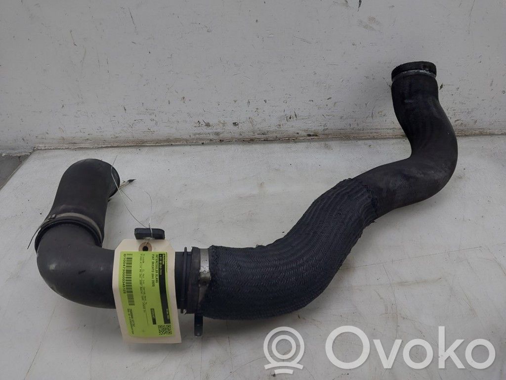 Fiat Ducato Interkūlerio žarna (-os)/ vamzdelis (-iai) 