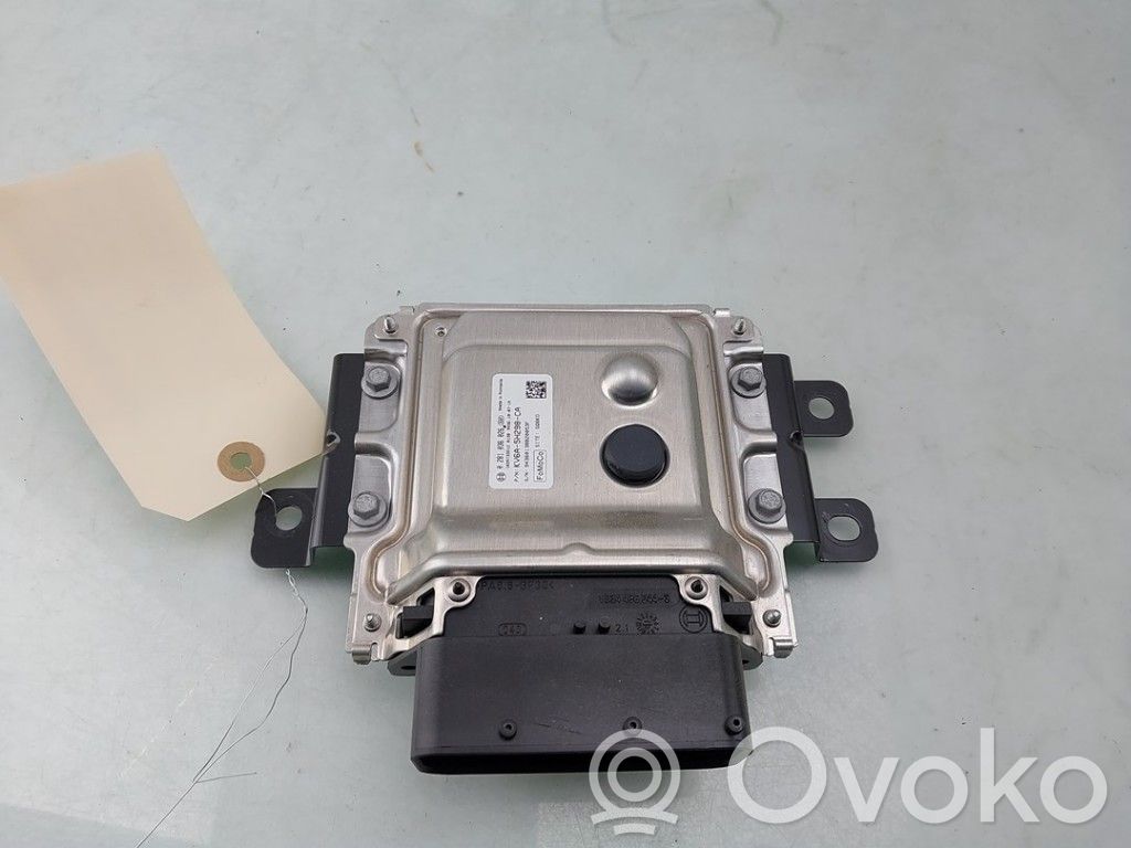 Ford Transit -  Tourneo Connect Adblue control unit 