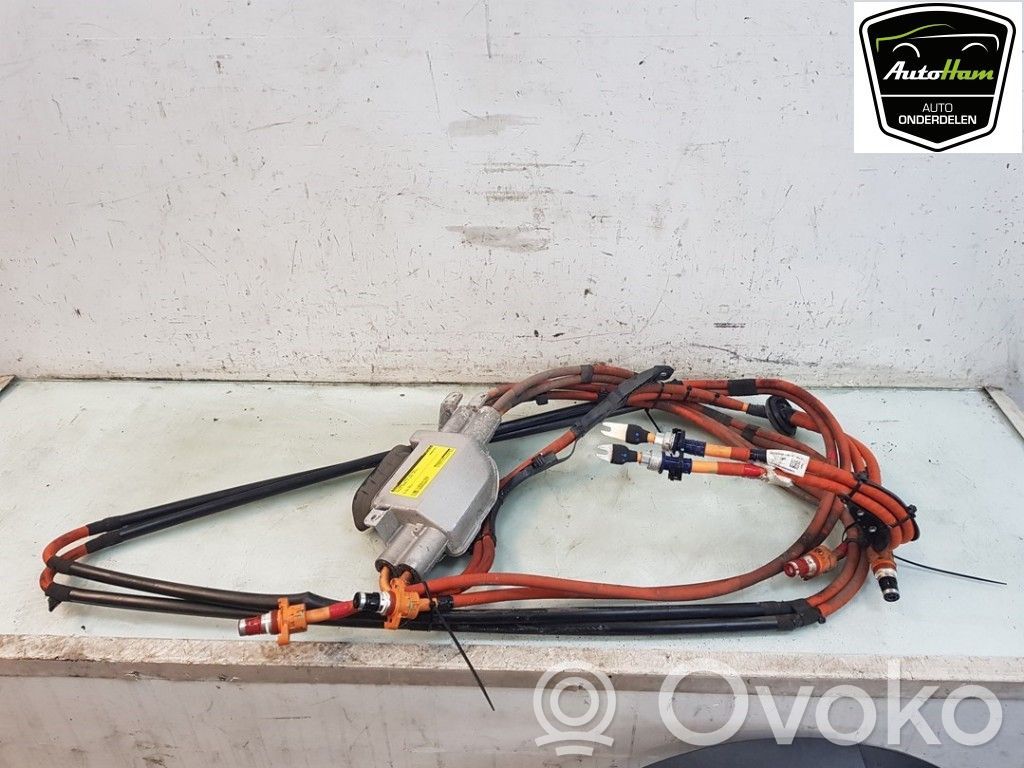 Tesla Model X Aukštos įtampos laidas 