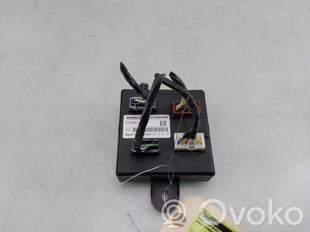 Dacia Spring Other control units/modules 