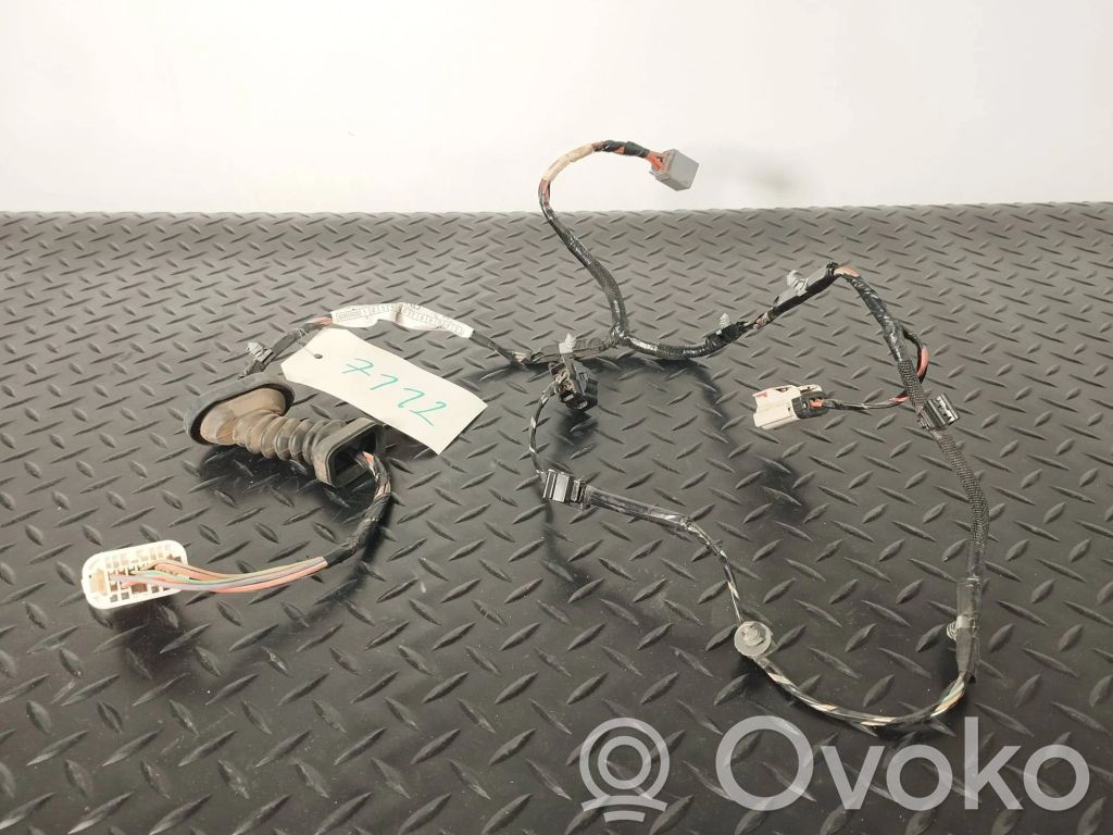 Chrysler 300 - 300C Cableado de puerta trasera 