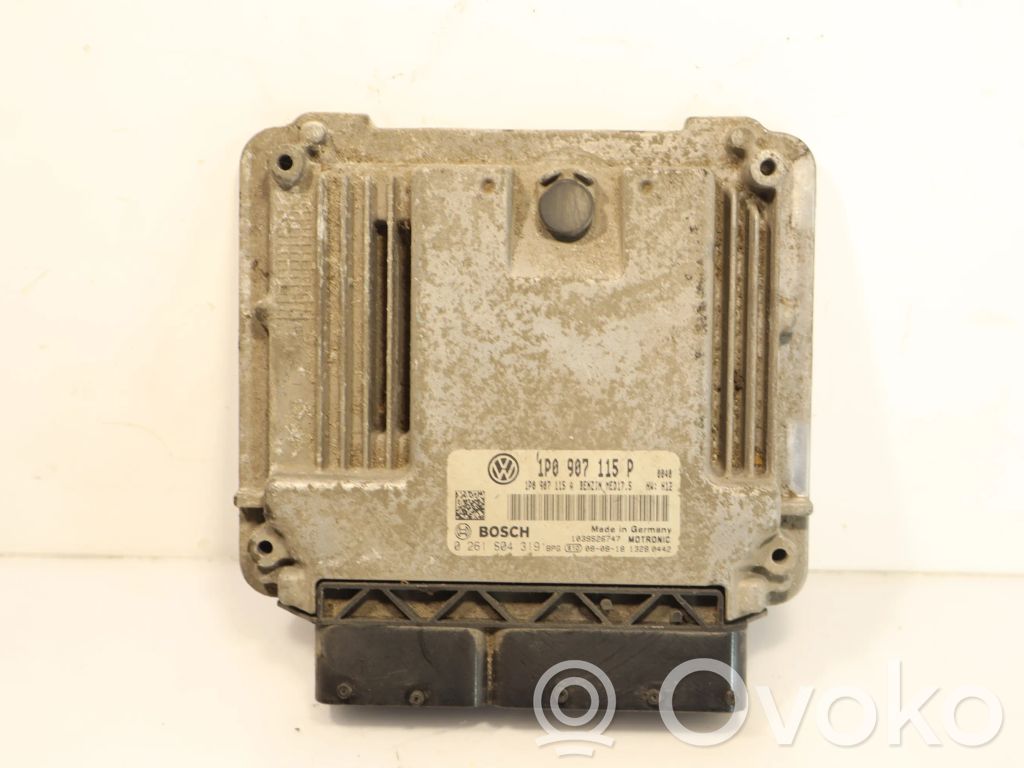 Engine control unit/module ECU   0261S04319