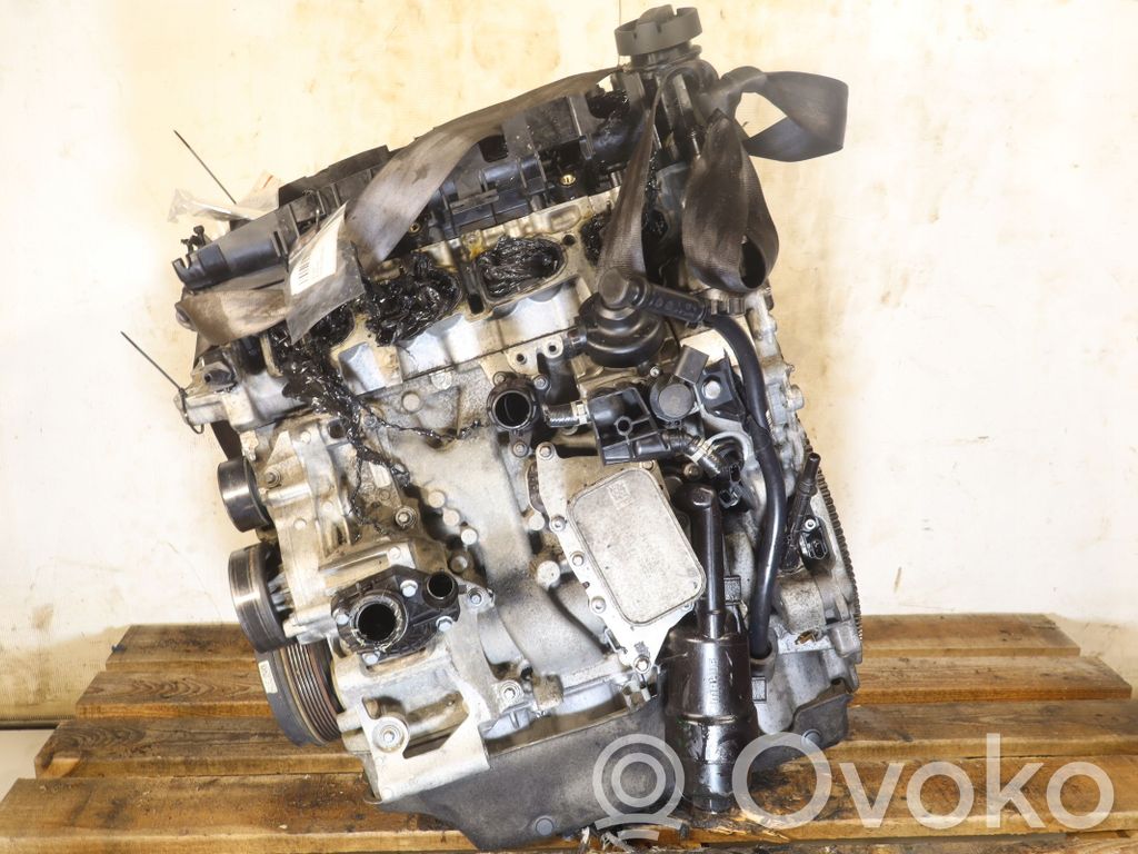 Motor   CAY