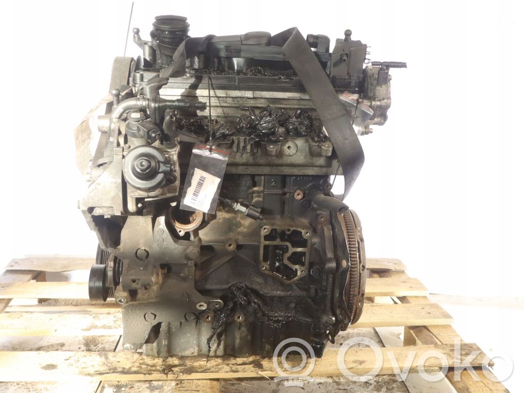 Motor   CBD