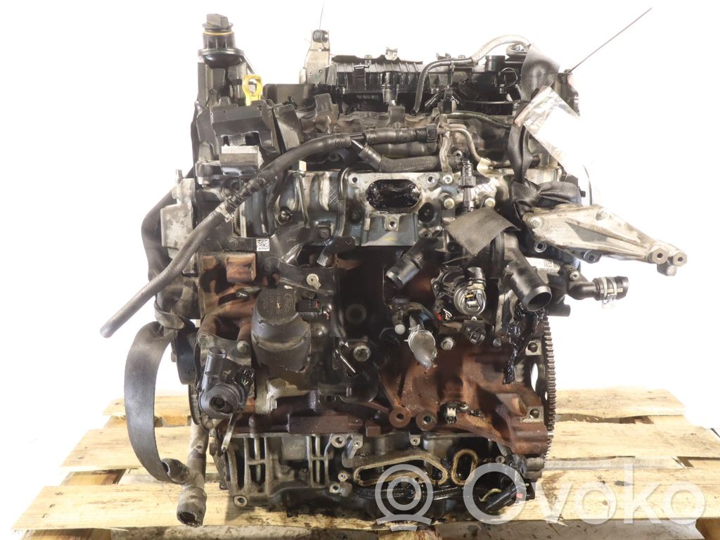 Motor   BCCC