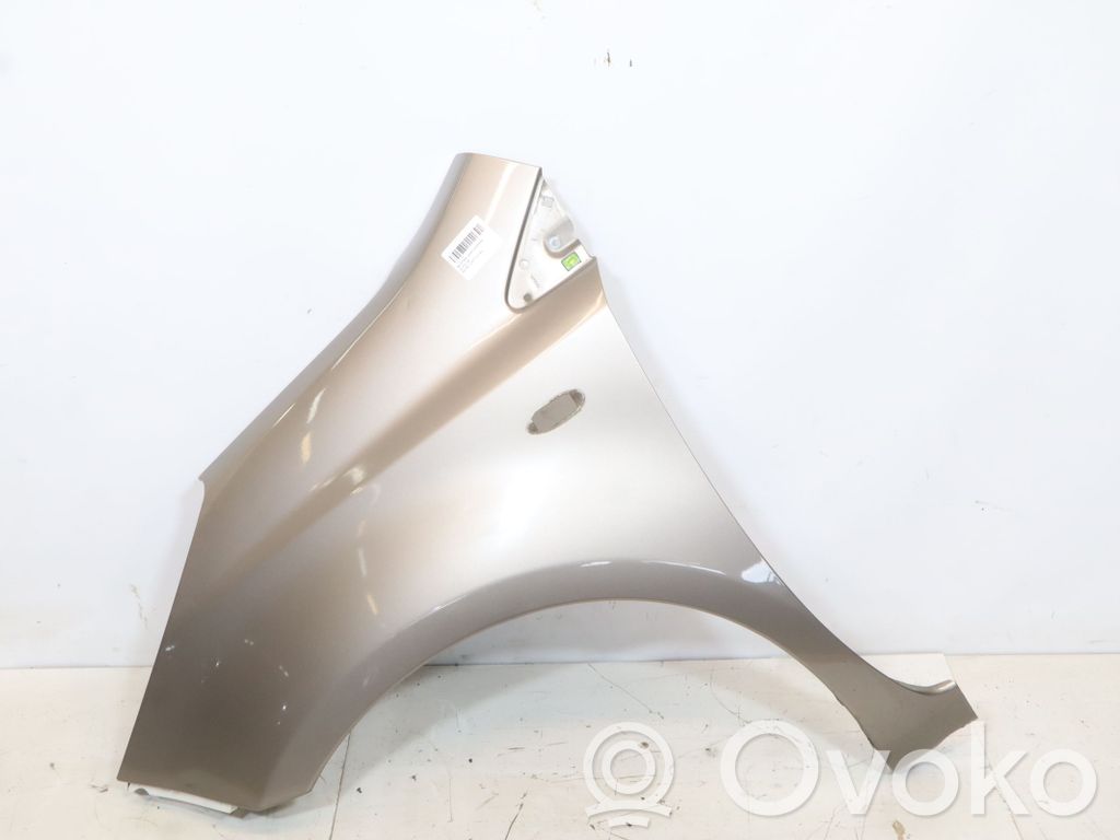 Fender