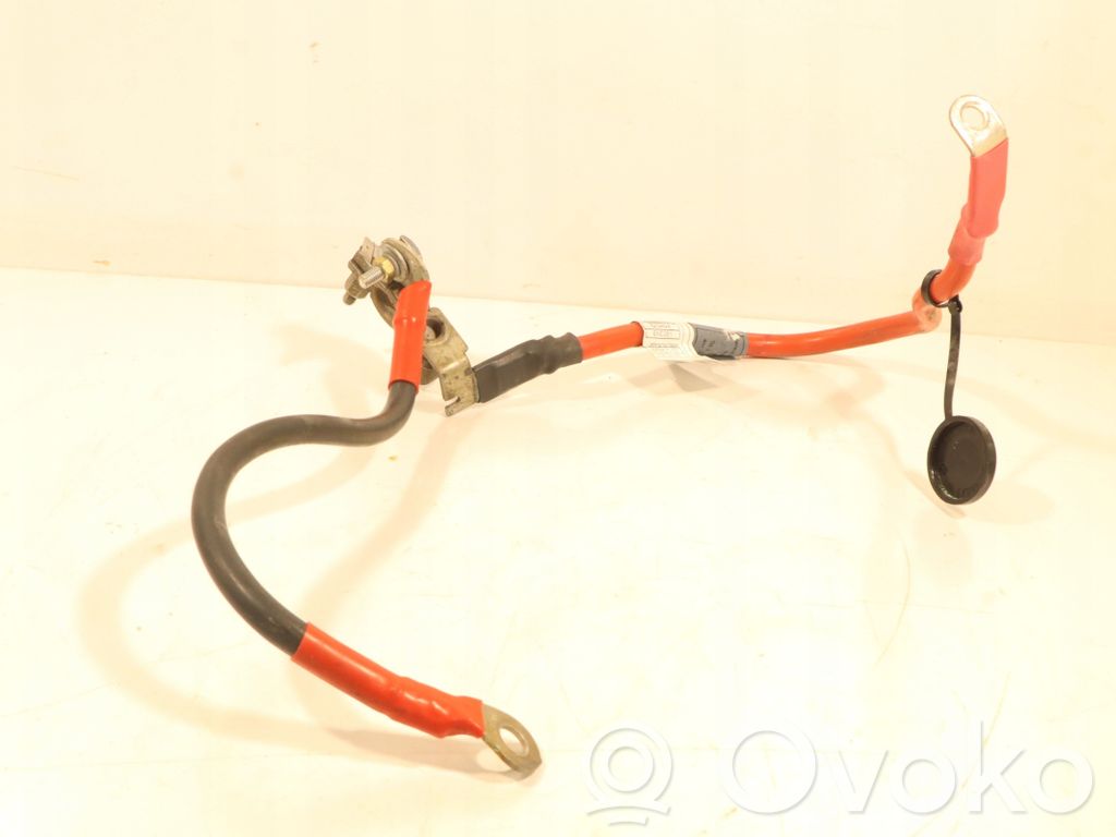 BMW 3 F30 F35 F31 Cavo negativo messa a terra (batteria)