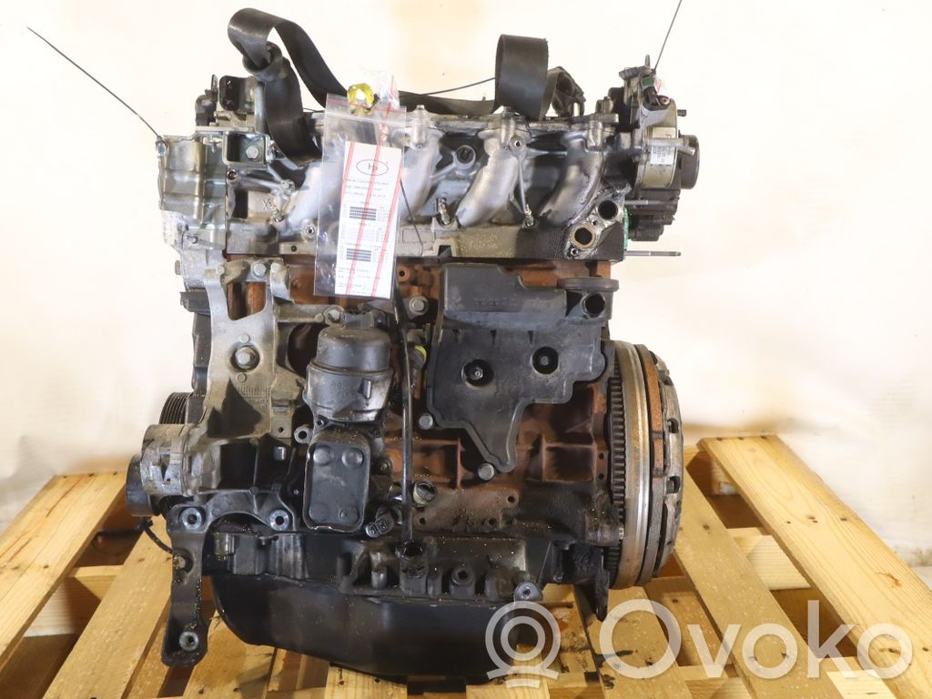 Ford Focus Motor