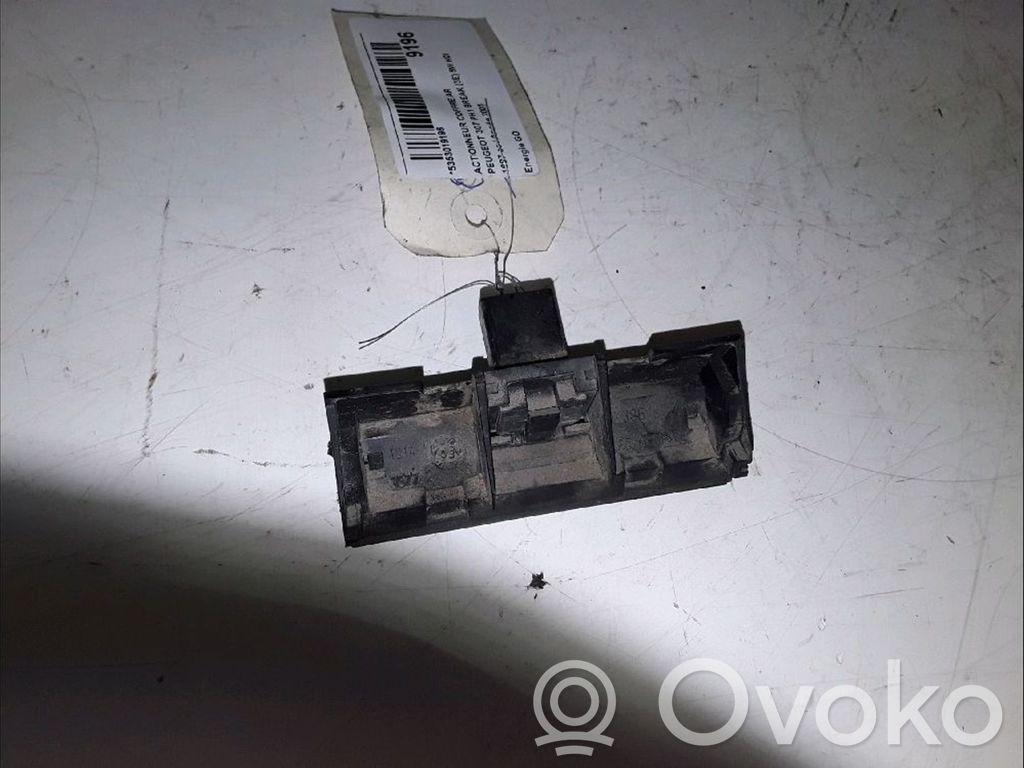 Peugeot 307 Spynos varikliukas galinio dangčio 