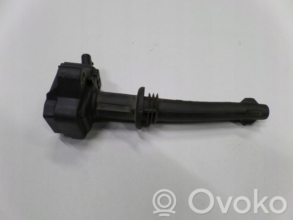Aukštos įtampos ritė "babyna"   12A366,0221604022