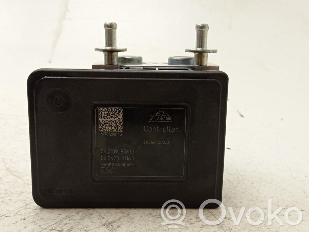 ABS Pump   06210980813
