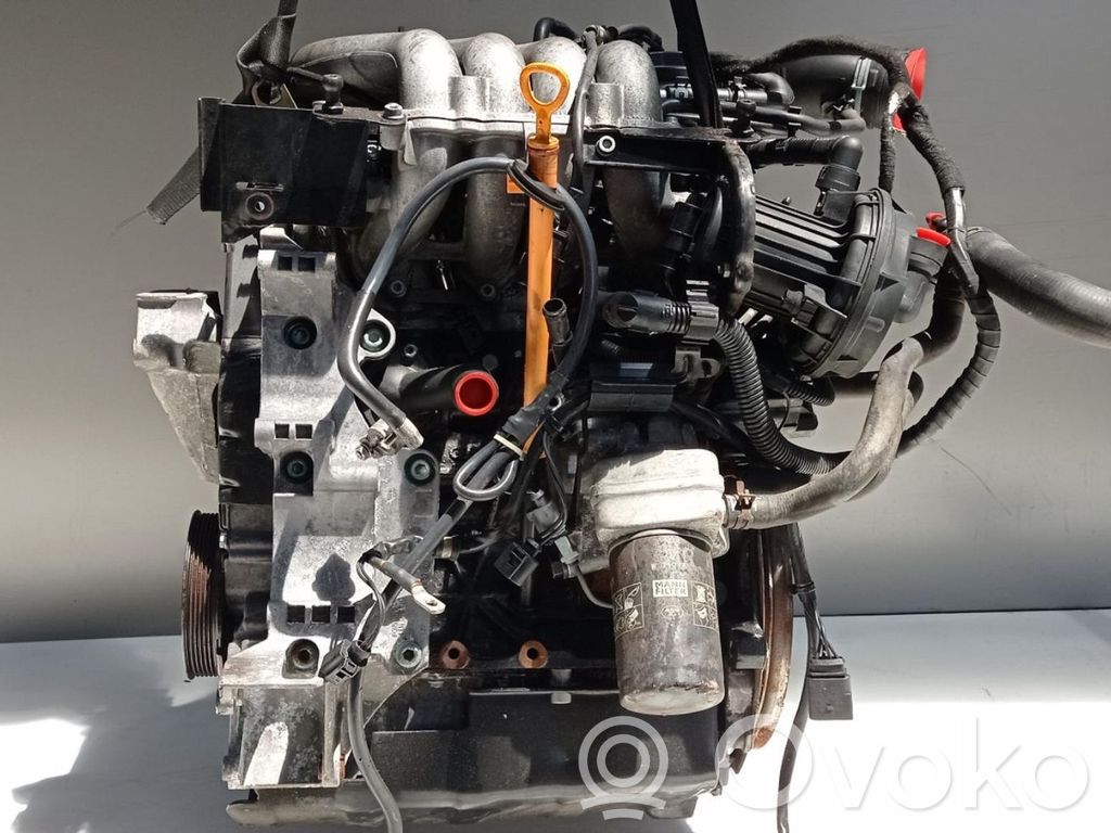 Volkswagen Jetta V Motor 