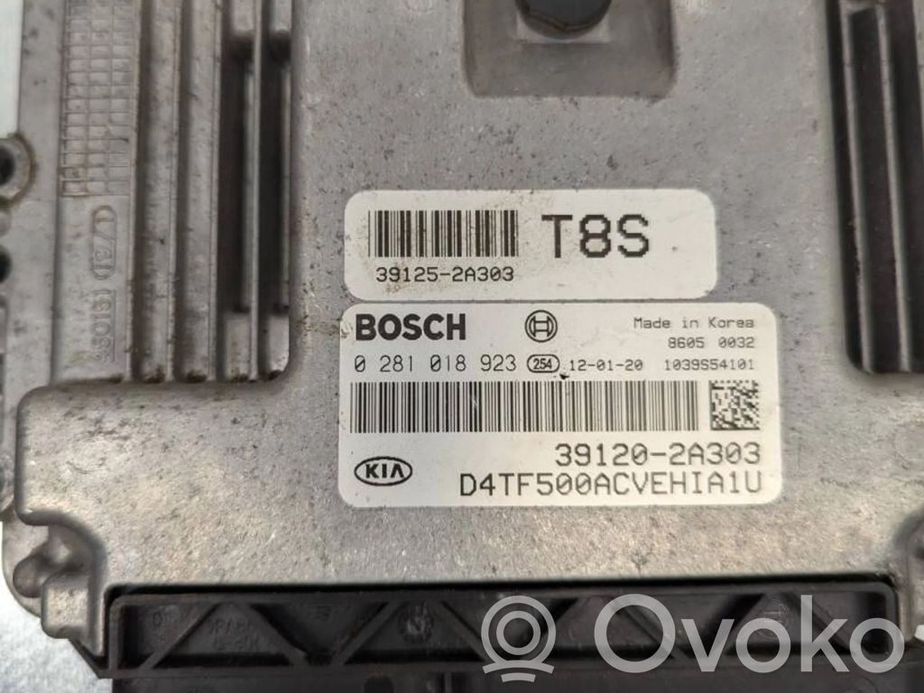 KIA Sorento Engine control unit/module 
