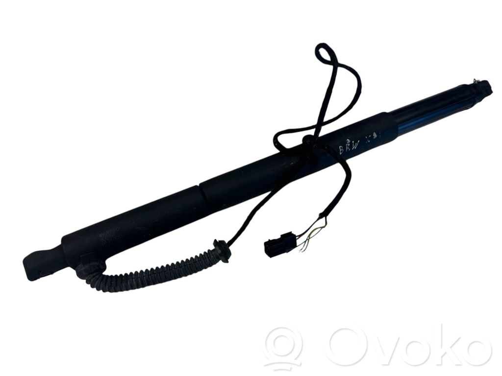 BMW X6 E71 Tailgate/trunk strut/damper 