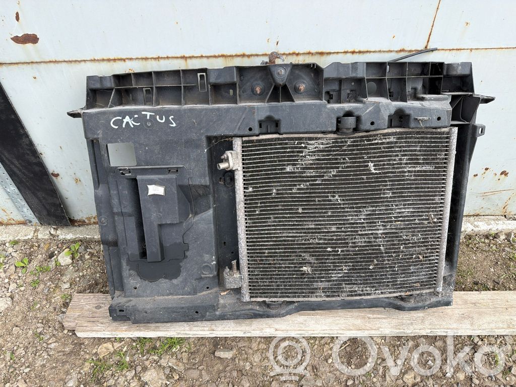 Citroen C4 Cactus Panou suport radiator 