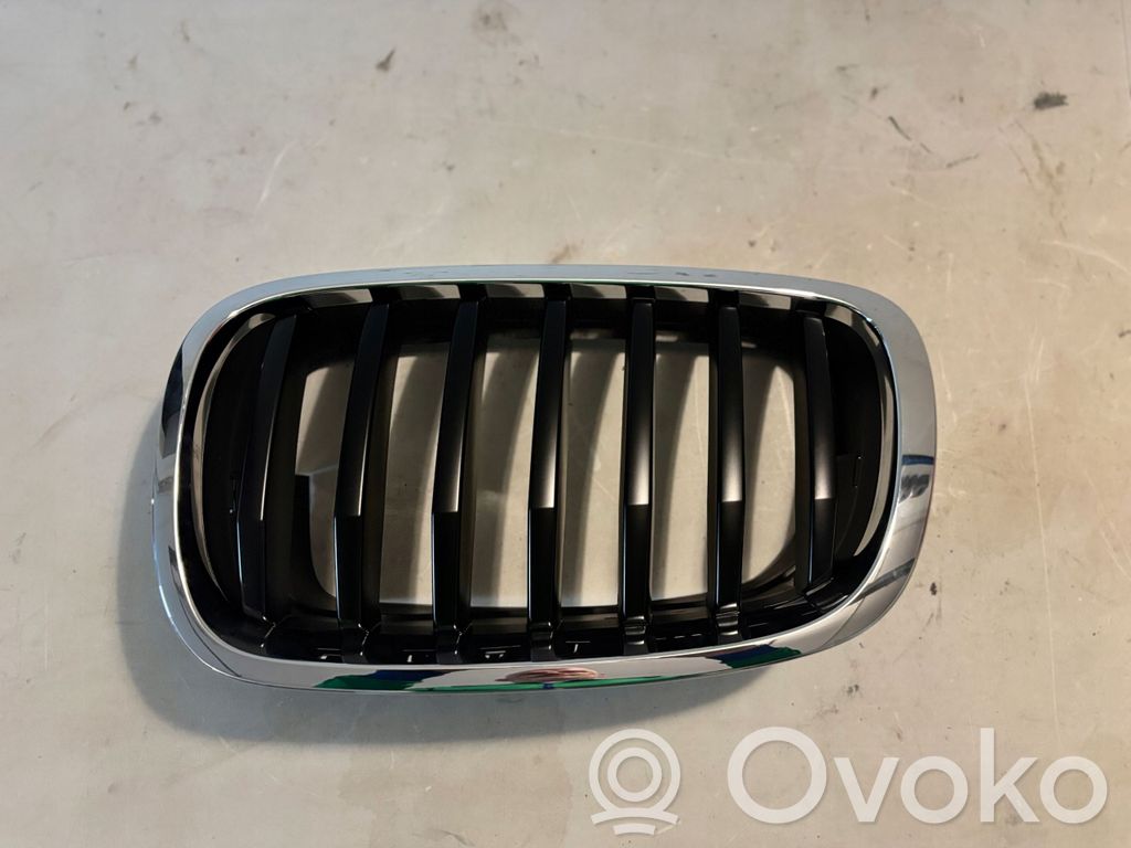 BMW X6 E71 Front grill 