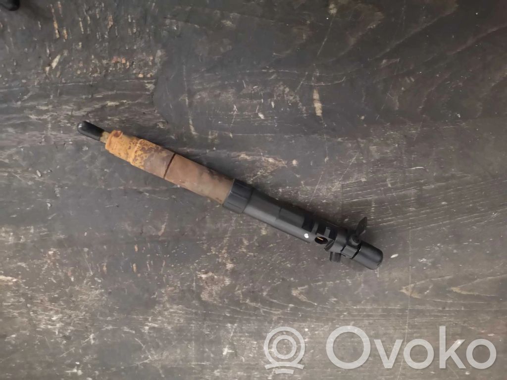 Peugeot Expert Fuel injector 
