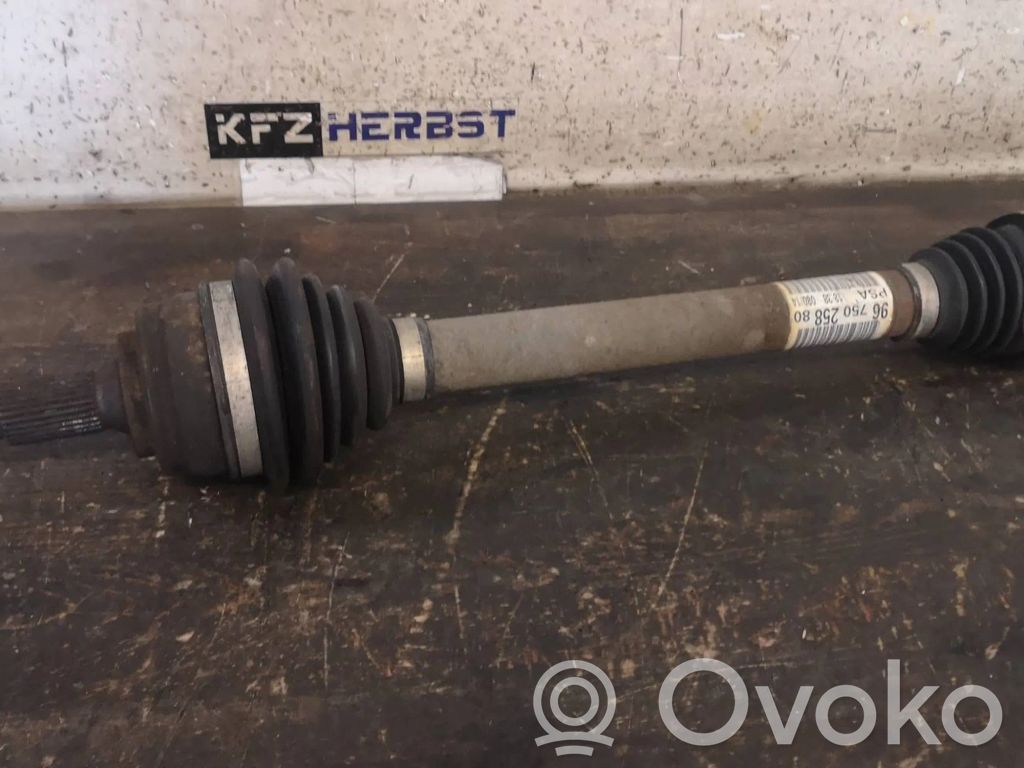 Citroen C4 Grand Picasso Planetare (set)