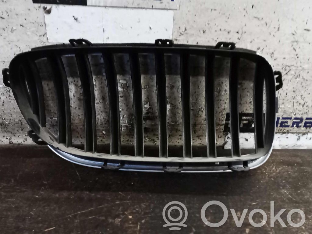 BMW 5 F10 F11 Mascherina inferiore del paraurti anteriore 