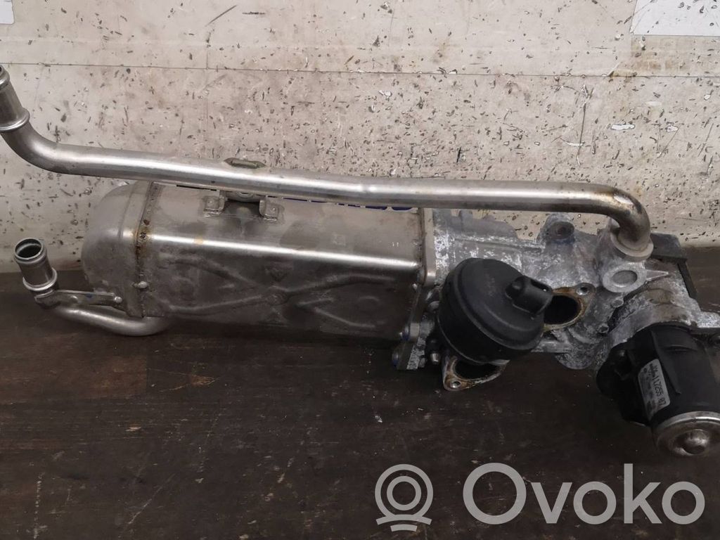 Skoda Rapid (NH) Valvola di raffreddamento EGR