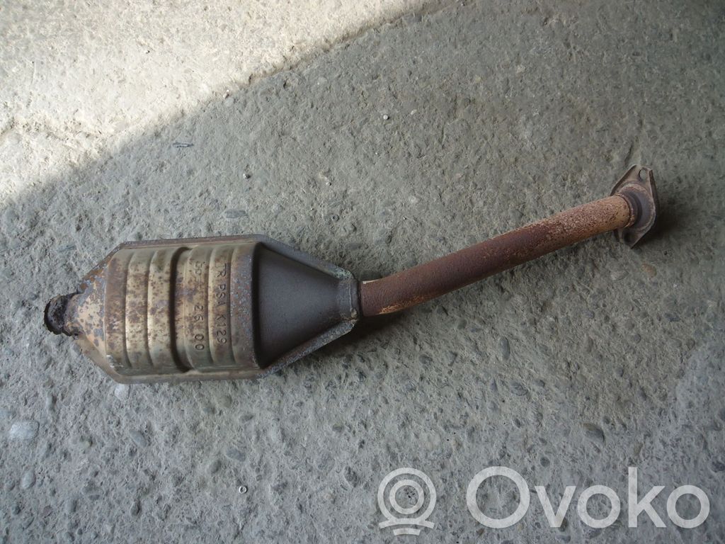 Peugeot 206 Catalyst/FAP/DPF particulate filter 