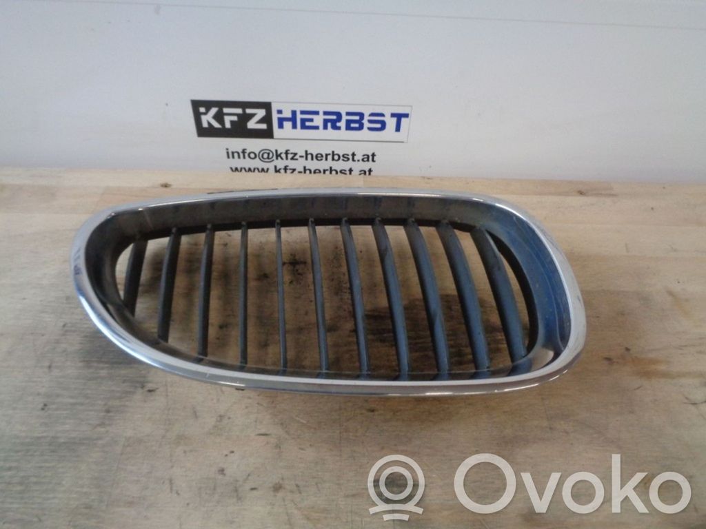 Front grill   NIERE,NIERE,NIERE